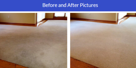 Before and after carpet cleaning comparison, showcasing a significant transformation and improved cleanliness.