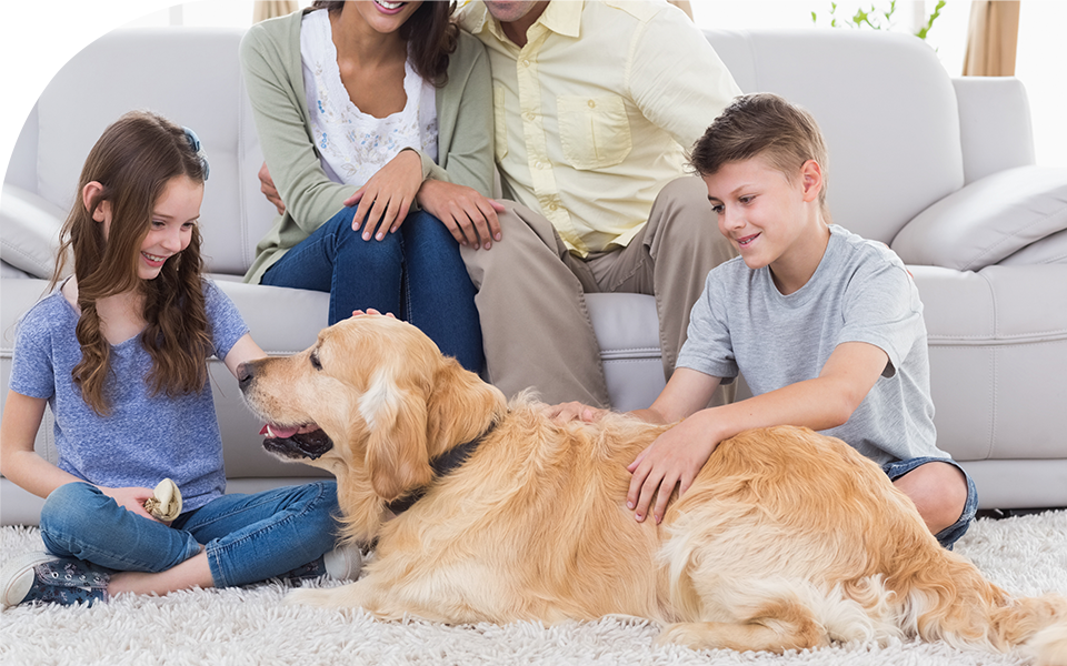 Family petting dog on Beige rug