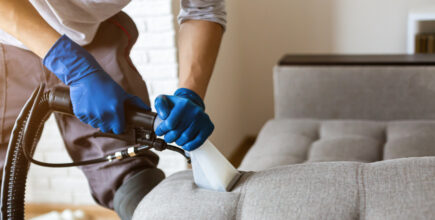 Professionally cleaning sofa with upholstery extraction method