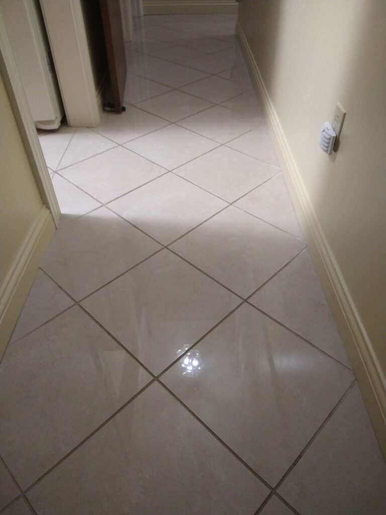 cleaned tile grout using professional steam cleaning